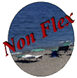 non flex2p